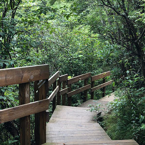 Meet your Posher, Marie